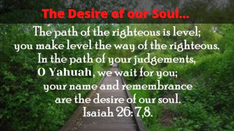 Bible Code: Desire of our Soul