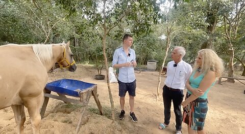 The off-grid Community in Paraguay you never heard of - a great Plan B in Latin America