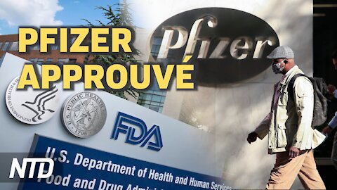 Pfizer : approbation totale de la FDA; RU : les fournisseurs de tests PCR malhonnêtes mis hors jeu