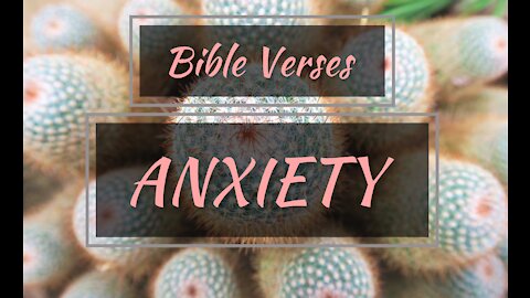 8 Bible verses for ANXIETY part 11 //Scriptures for anxiety// Anxiety meditation Scriptures