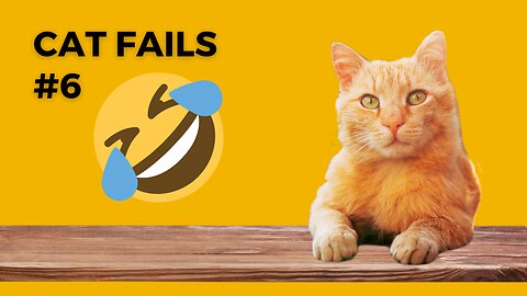 NEW ~ Funny Cat Videos Fails #6 ~ Crazy Animal Fails for Kids