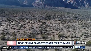 Developer planning big changes at Bonnie Springs Ranch