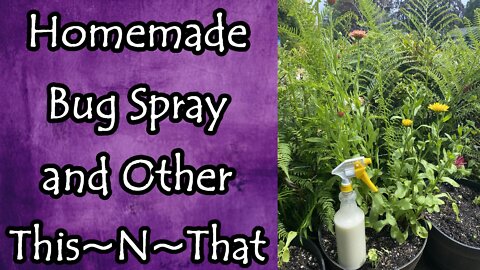 Homemade Bug Spray and Other This~N~That