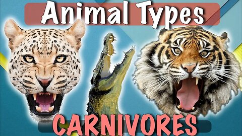 Apex Carnivorous Animals | Top Predators | Shark Lion Tiger and more!