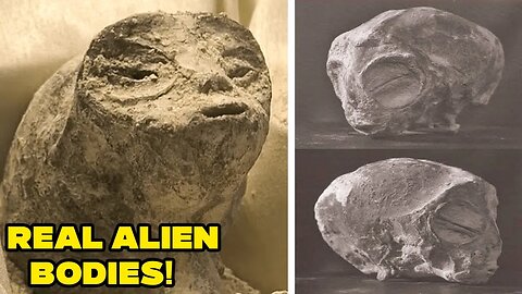 Mexico Just Released REAL ALIEN BODYS