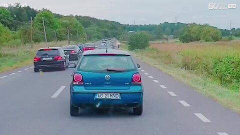 Driver walks a horse on busy road