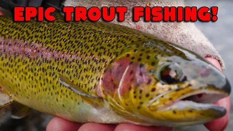 12 Minutes Of TROUT FISHING MADNESS! Bobber Downs, DRONE Bites, HUGE FISH, & More!!