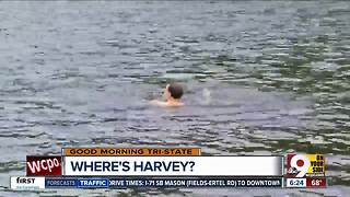 Where's Harvey