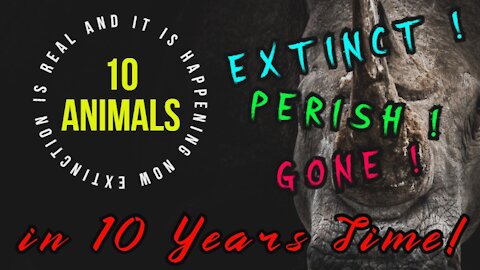 10 Animals will extinct in the next 10 years
