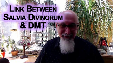 Link Between Salvia Divinorum & DMT: Retaining the Information, Bridge to the Material Realm [ASMR]