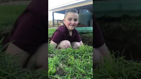 He almost disappeared into the ground! 👀🕳️🌱#shorts #viral #trending #tiktok #shortsvideo