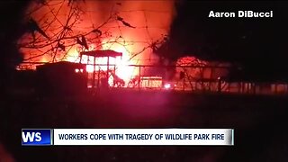 Nearly a dozen animals housed in barn at African Safari Wildlife Park in Port Clinton perish in fire
