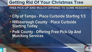 Tampa locations that help you get rid of your Christmas tree
