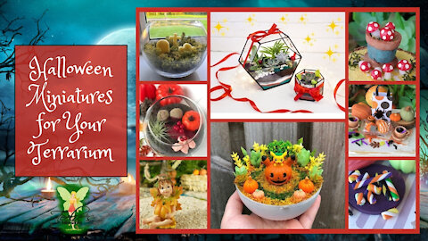 Teelie's Fairy Garden | Halloween Miniatures for Your Terrarium | Teelie Turner