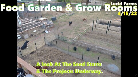 A Look At The Seed Starts & The Projects Underway. 4/15/22 Food Garden & Grow Rooms.