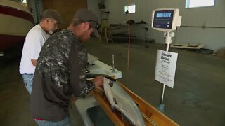 Kewaunee/Door County Salmon Tournament begins