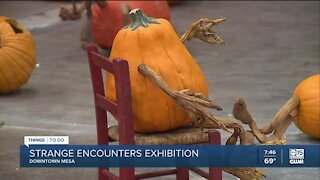 Strange Encounters pumpkin exhibit comes to Mesa