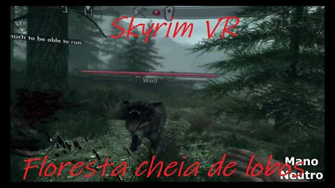 Fazendo umas comprinhas🛍 em Skyrim