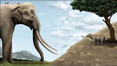 Palaeoloxodon - Ancient Animal