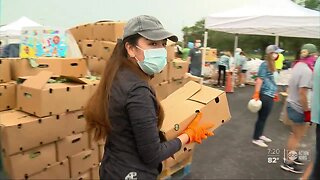 Long lines at Feeding Tampa Bay food distribution