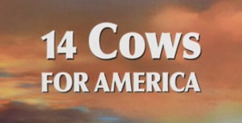 14 Cows for America