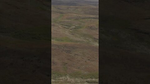 What Prime Prairie Grouse Habitat Looks Like