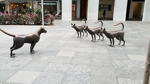 The Meeting Dog, sculpture at Taikoo Place, Taikoo Park, Taikoo Shing, Hong Kong