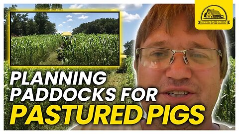 Planning Cover Crop Pig Paddocks for Forage and Farrowing
