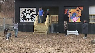 Dog park bar officially opens in Tremont