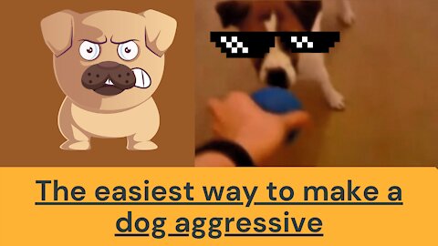 The easiest way to make a dog aggressive