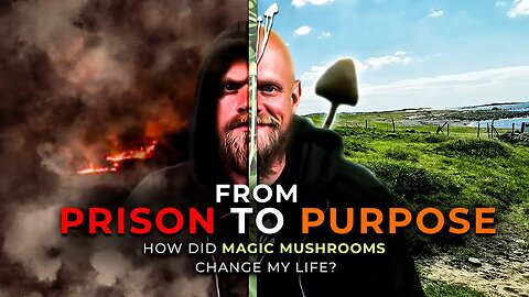 How Magic Mushrooms Sparked My Journey From Prison To Purpose
