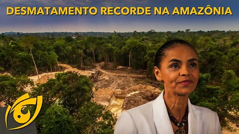 DESMATAMENTO da AMAZÔNIA bate RECORDE no GOVERNO LULA