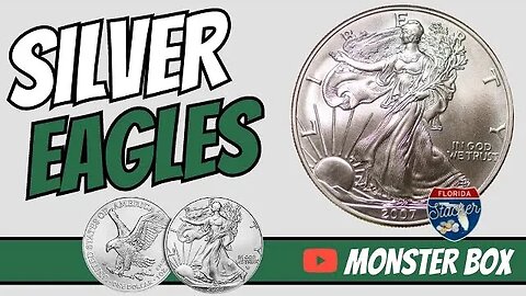 Stacking American Silver Eagle Coins. A Monster Box Journey.