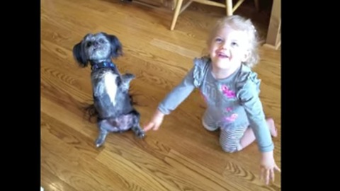 Mom teaches dog and daughter same trick