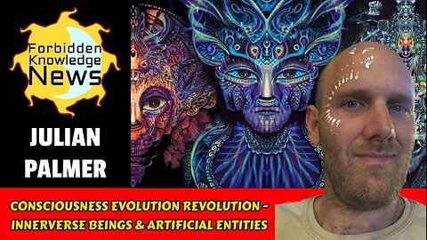 Consciousness Evolution Revolution - Innerverse Beings & Artificial Entities | Julian Palmer