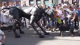 Rottweiler Befriends A Giant Puppet Dog At A Parade