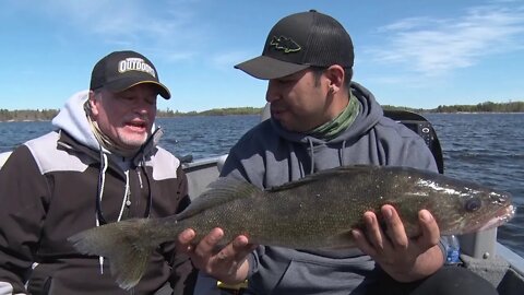 Multi Species Bonanza on Ontario's Lake of the Woods