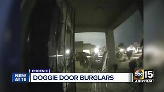 Suspect breaks into Phoenix home through doggy door