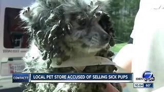 Centennial pet shop accused of selling sick dogs to customers