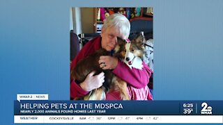 GTK: Helping pets at the MDSPCA