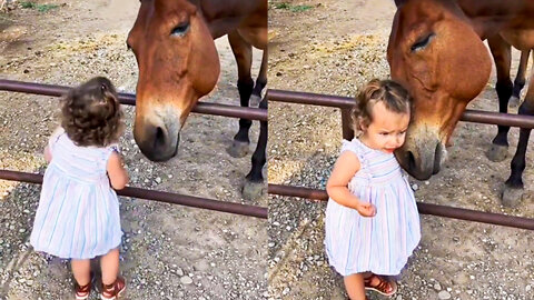 Horse snuggling with toddler melts hearts of netizens