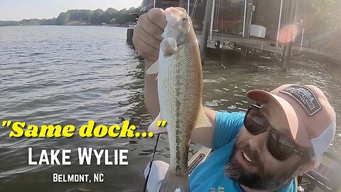 Kayak Bass Fishing an Absolutely Loaded Dock - Lake Wylie - South Point Access - Belmont, NC