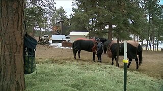 Rural communities in Colorado come together amid coronavirus outbreak