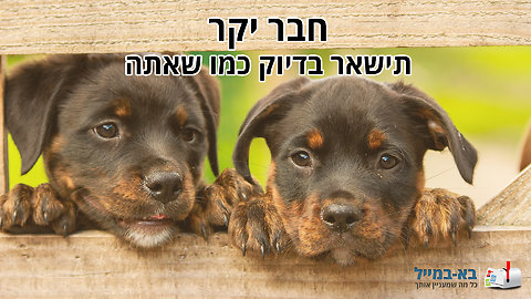 ברכה מרגשת לחברים המושלמים ביותר!