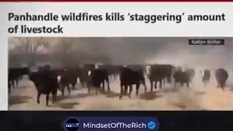 🔥 The Coincidences Of The Texas "Wildfires" 🔥 Own Nothing, Be Happy, Eat Ze Bugs