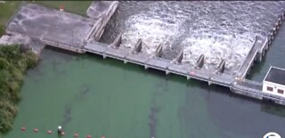 Community believes task force is a positive step to cut back on algae