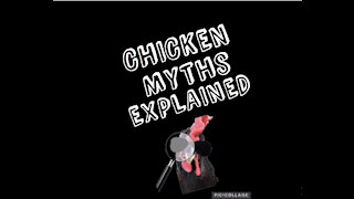 Chicken Myths Explained:Episode 1