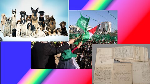 Dogs, Hamas, and My Answer to Two Messages