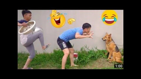 Try Not To Laugh - Funny Videos 2021♥️
