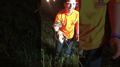 Kid Overcomes Fear To Catch His First Python